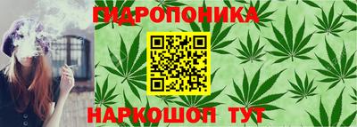 гидра Комсомольск-на-Амуре