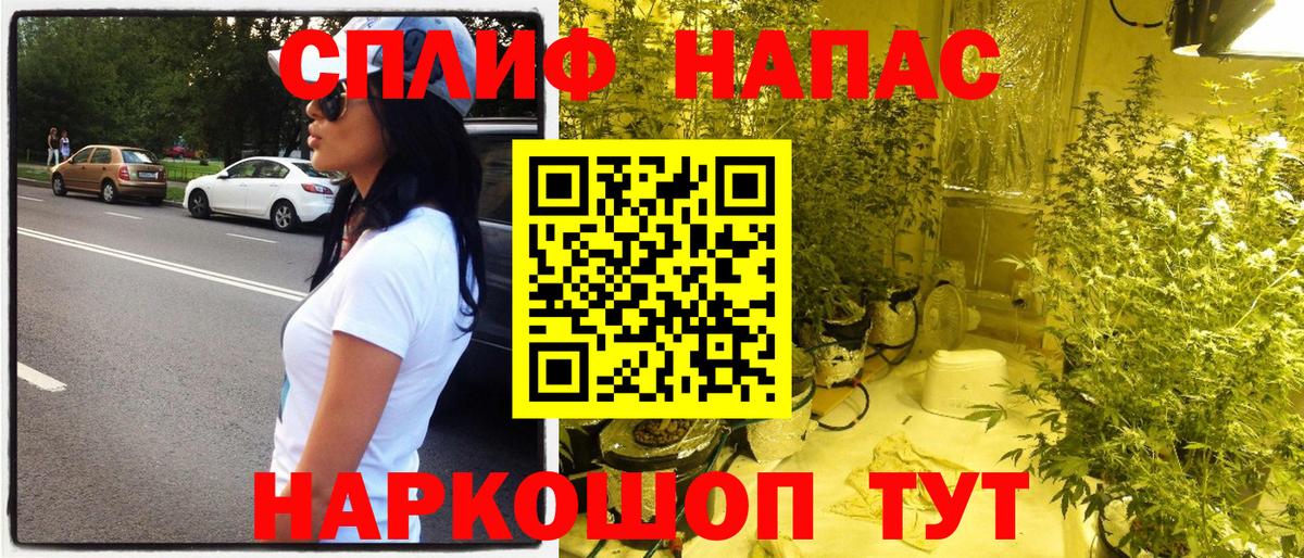 Шатура  Марихуана тримм  Бошки Шишки AK-47  Вход с VPN  Конопля семена 
